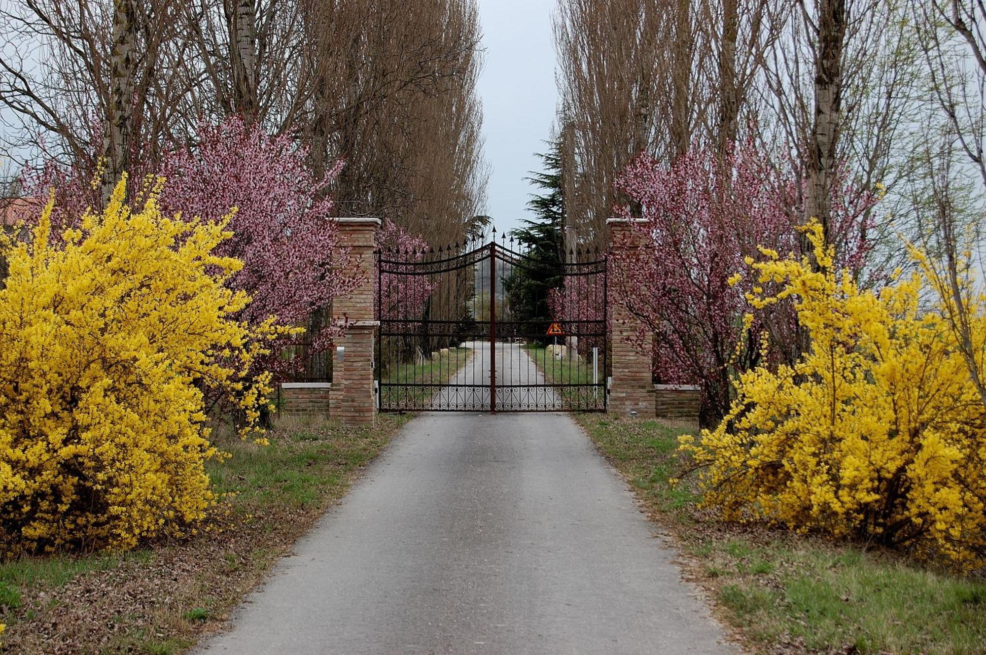 Agriturismo Corte Rocca San Giorgio di Mantua Exterior foto